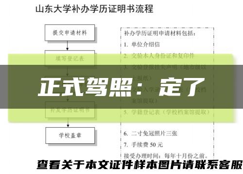 正式驾照：定了缩略图