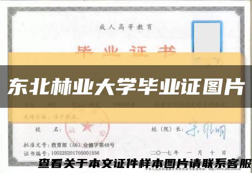 东北林业大学毕业证图片缩略图