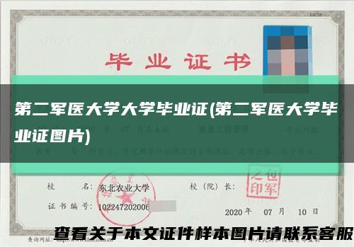 第二军医大学大学毕业证(第二军医大学毕业证图片)缩略图