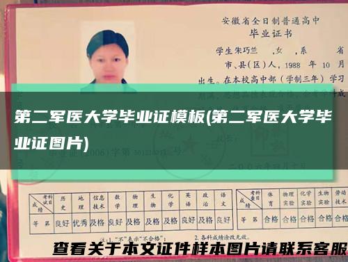 第二军医大学毕业证模板(第二军医大学毕业证图片)缩略图