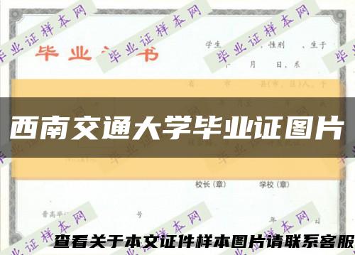 西南交通大学毕业证图片缩略图