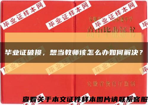 毕业证破损，想当教师该怎么办如何解决？缩略图