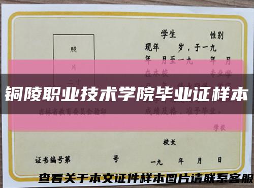 铜陵职业技术学院毕业证样本缩略图