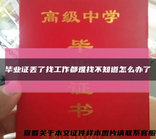 毕业证丢了找工作都难找不知道怎么办了缩略图