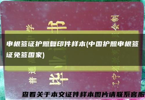 申根签证护照复印件样本(中国护照申根签证免签国家)缩略图