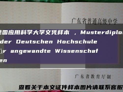 德国应用科学大学文凭样本 ，Musterdiplom der Deutschen Hochschule für angewandte Wissenschaften缩略图