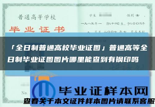 「全日制普通高校毕业证图」普通高等全日制毕业证图图片哪里能查到有钢印吗缩略图