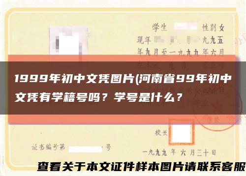1999年初中文凭图片(河南省99年初中文凭有学籍号吗？学号是什么？缩略图