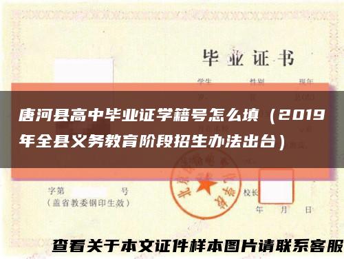 唐河县高中毕业证学籍号怎么填（2019年全县义务教育阶段招生办法出台）缩略图