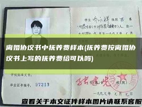 离婚协议书中抚养费样本(抚养费按离婚协议书上写的抚养费给可以吗)缩略图