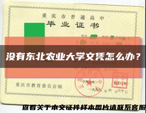 没有东北农业大学文凭怎么办？缩略图