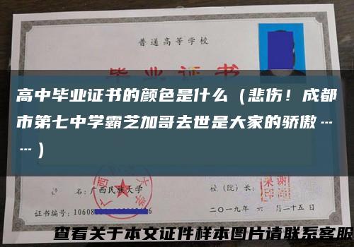 高中毕业证书的颜色是什么（悲伤！成都市第七中学霸芝加哥去世是大家的骄傲……）缩略图