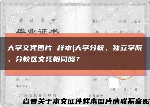 大学文凭图片 样本(大学分校、独立学院、分校区文凭相同吗？缩略图
