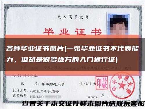 各种毕业证书图片(一张毕业证书不代表能力，但却是很多地方的入门通行证)缩略图