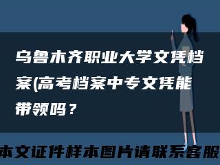 乌鲁木齐职业大学文凭档案(高考档案中专文凭能带领吗？缩略图