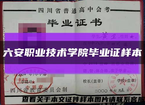 六安职业技术学院毕业证样本缩略图