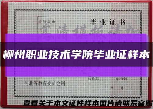 柳州职业技术学院毕业证样本缩略图