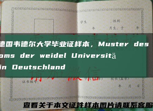 办德国韦德尔大学毕业证样本，Muster des Diploms der weidel Universität in Deutschland缩略图