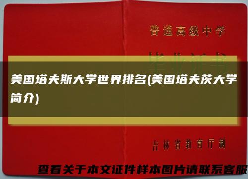美国塔夫斯大学世界排名(美国塔夫茨大学简介)缩略图