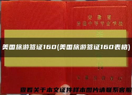美国旅游签证160(美国旅游签证160表格)缩略图