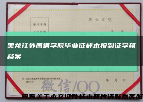 黑龙江外国语学院毕业证样本报到证学籍档案缩略图