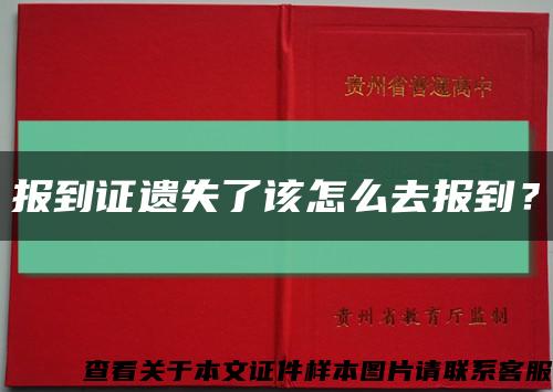 报到证遗失了该怎么去报到？缩略图