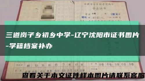 三道岗子乡初乡中学-辽宁沈阳市证书图片-学籍档案补办缩略图