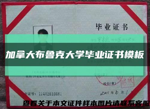 加拿大布鲁克大学毕业证书模板缩略图