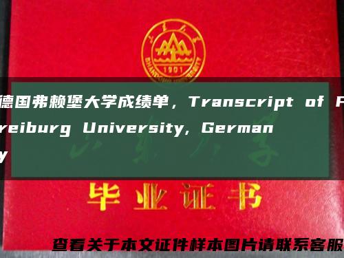 德国弗赖堡大学成绩单，Transcript of Freiburg University, Germany缩略图