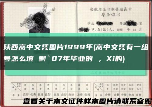 陕西高中文凭图片1999年(高中文凭有一组号怎么填 啊`07年毕业的 ，Xi的)缩略图