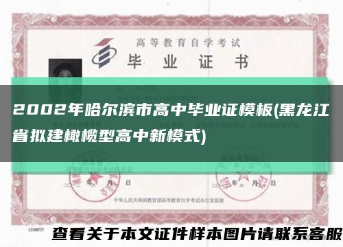 2002年哈尔滨市高中毕业证模板(黑龙江省拟建橄榄型高中新模式)缩略图
