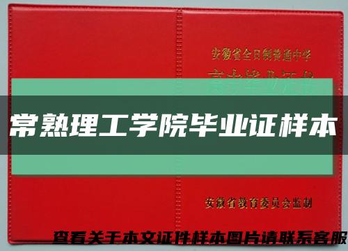 常熟理工学院毕业证样本缩略图