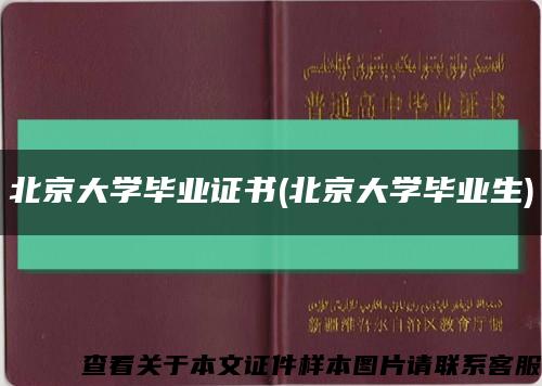 北京大学毕业证书(北京大学毕业生)缩略图