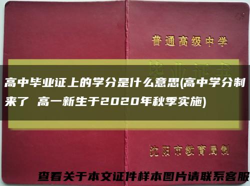 高中毕业证上的学分是什么意思(高中学分制来了 高一新生于2020年秋季实施)缩略图