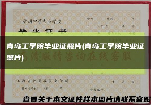 青岛工学院毕业证照片(青岛工学院毕业证照片)缩略图