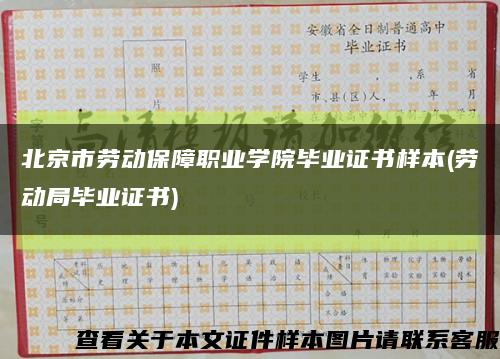 北京市劳动保障职业学院毕业证书样本(劳动局毕业证书)缩略图