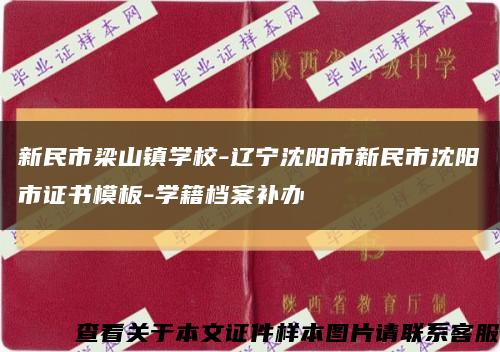 新民市梁山镇学校-辽宁沈阳市新民市沈阳市证书模板-学籍档案补办缩略图