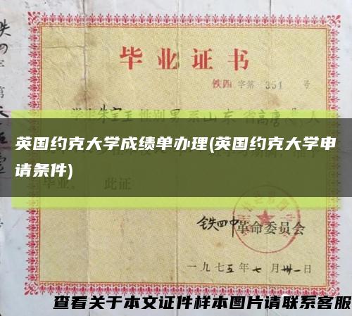 英国约克大学成绩单办理(英国约克大学申请条件)缩略图