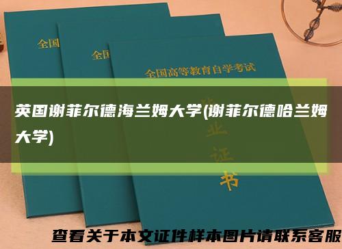 英国谢菲尔德海兰姆大学(谢菲尔德哈兰姆大学)缩略图