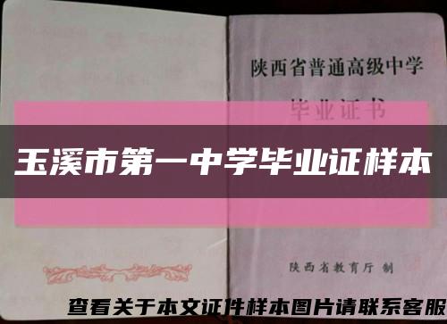 玉溪市第一中学毕业证样本缩略图