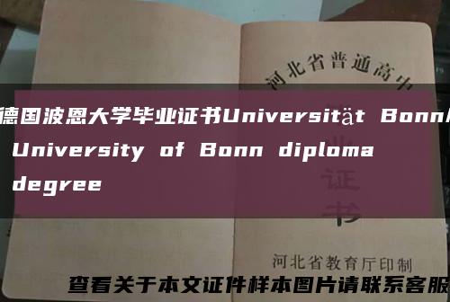 德国波恩大学毕业证书Universität Bonn/ University of Bonn diploma degree缩略图