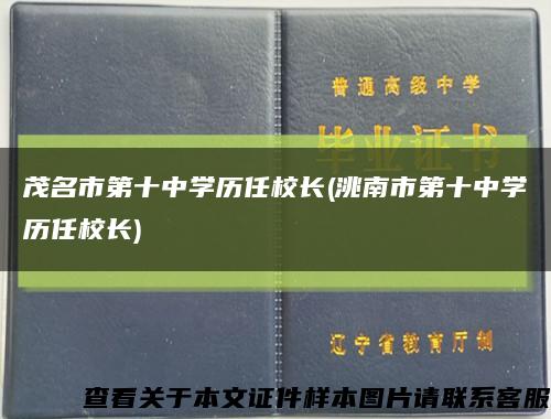 茂名市第十中学历任校长(洮南市第十中学历任校长)缩略图