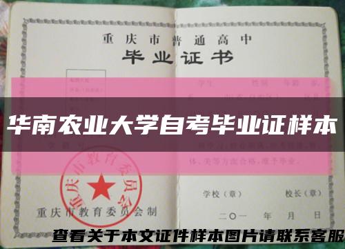 华南农业大学自考毕业证样本缩略图
