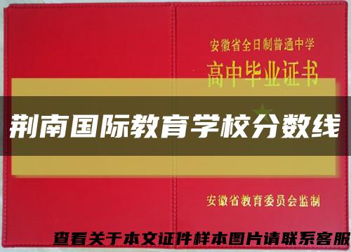 荆南国际教育学校分数线缩略图