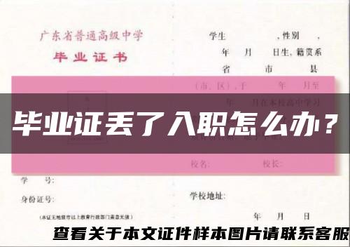 毕业证丢了入职怎么办？缩略图