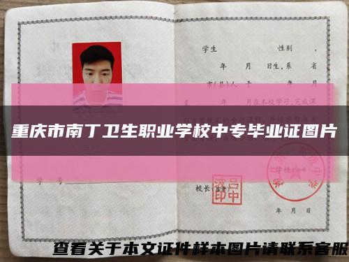 重庆市南丁卫生职业学校中专毕业证图片缩略图