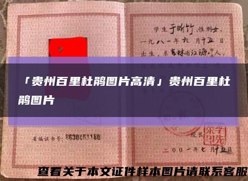 「贵州百里杜鹃图片高清」贵州百里杜鹃图片缩略图