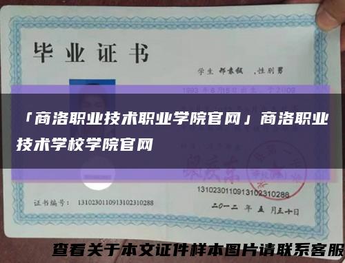 「商洛职业技术职业学院官网」商洛职业技术学校学院官网缩略图
