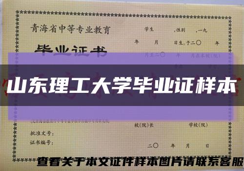山东理工大学毕业证样本缩略图