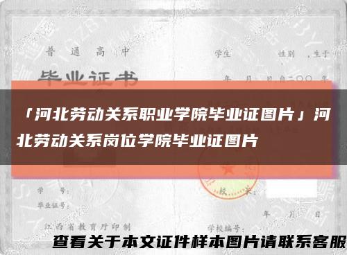 「河北劳动关系职业学院毕业证图片」河北劳动关系岗位学院毕业证图片缩略图